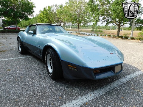 1982 Chevrolet Corvette image 10