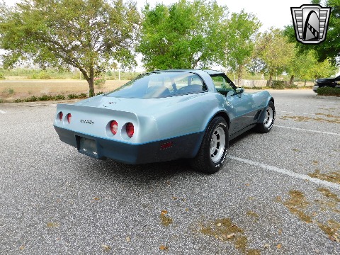 1982 Chevrolet Corvette image 15