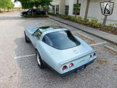 1982 Chevrolet Corvette image 19