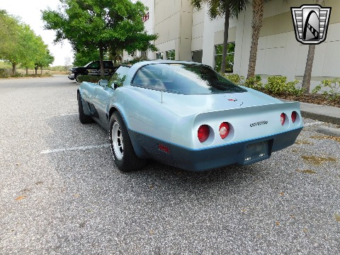 1982 Chevrolet Corvette image 20