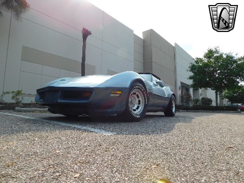 1982 Chevrolet Corvette image 25