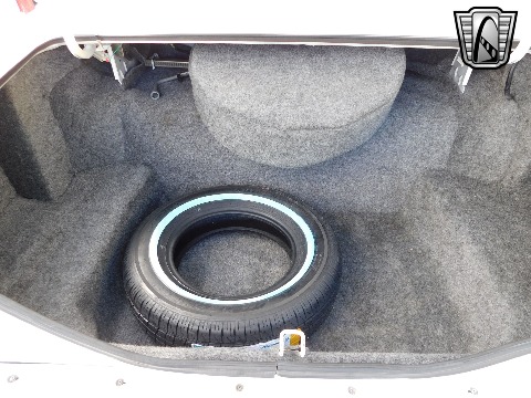 1982 Lincoln Continental image 101