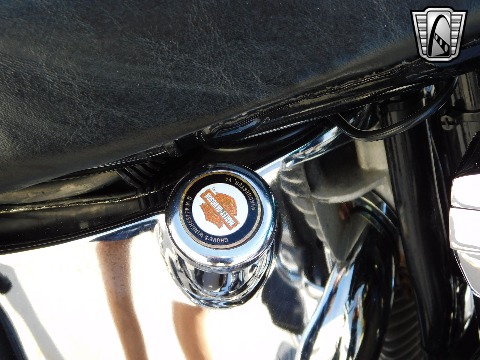 1992 Harley Davidson Heritage Soft Tail image 95