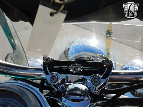 1992 Harley Davidson Heritage Soft Tail image 44