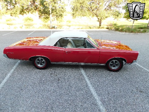 1967 Pontiac GTO image 14