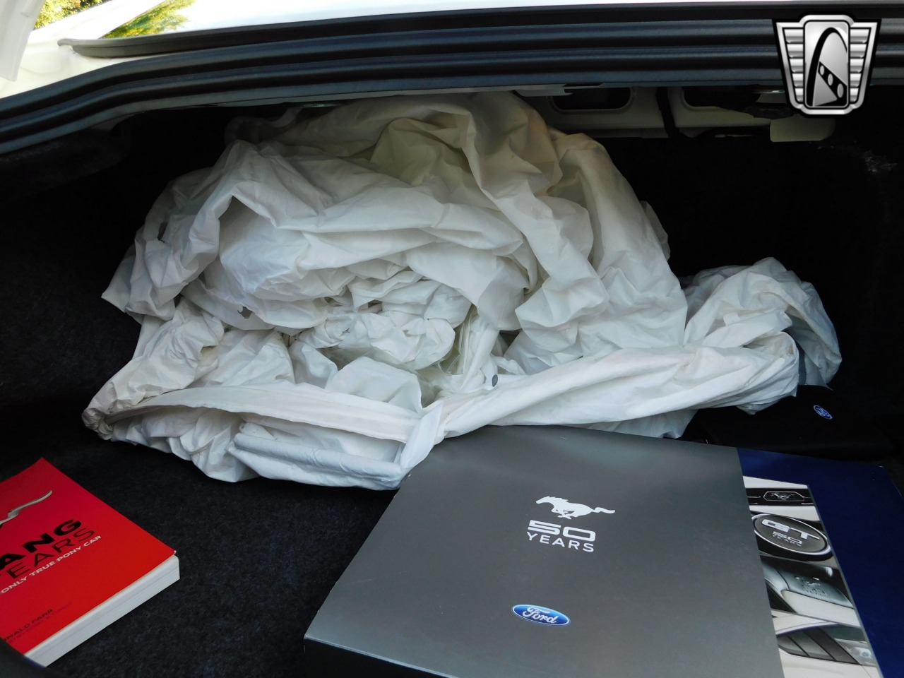 2015 Ford Mustang 15