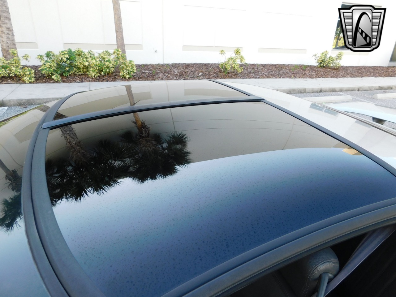 1999 Pontiac Firebird 50