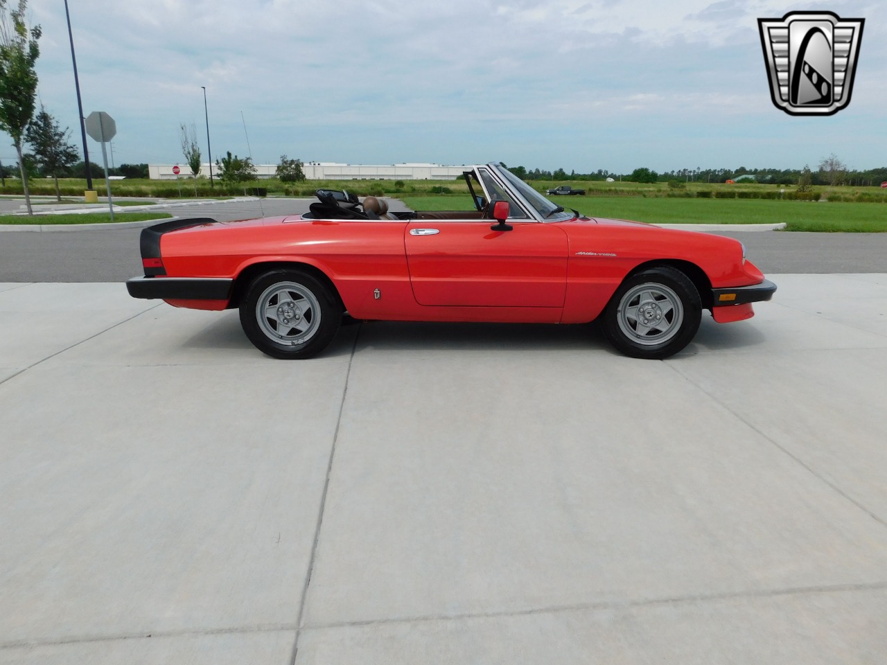 1984 Alfa Romeo Spider Veloce 3