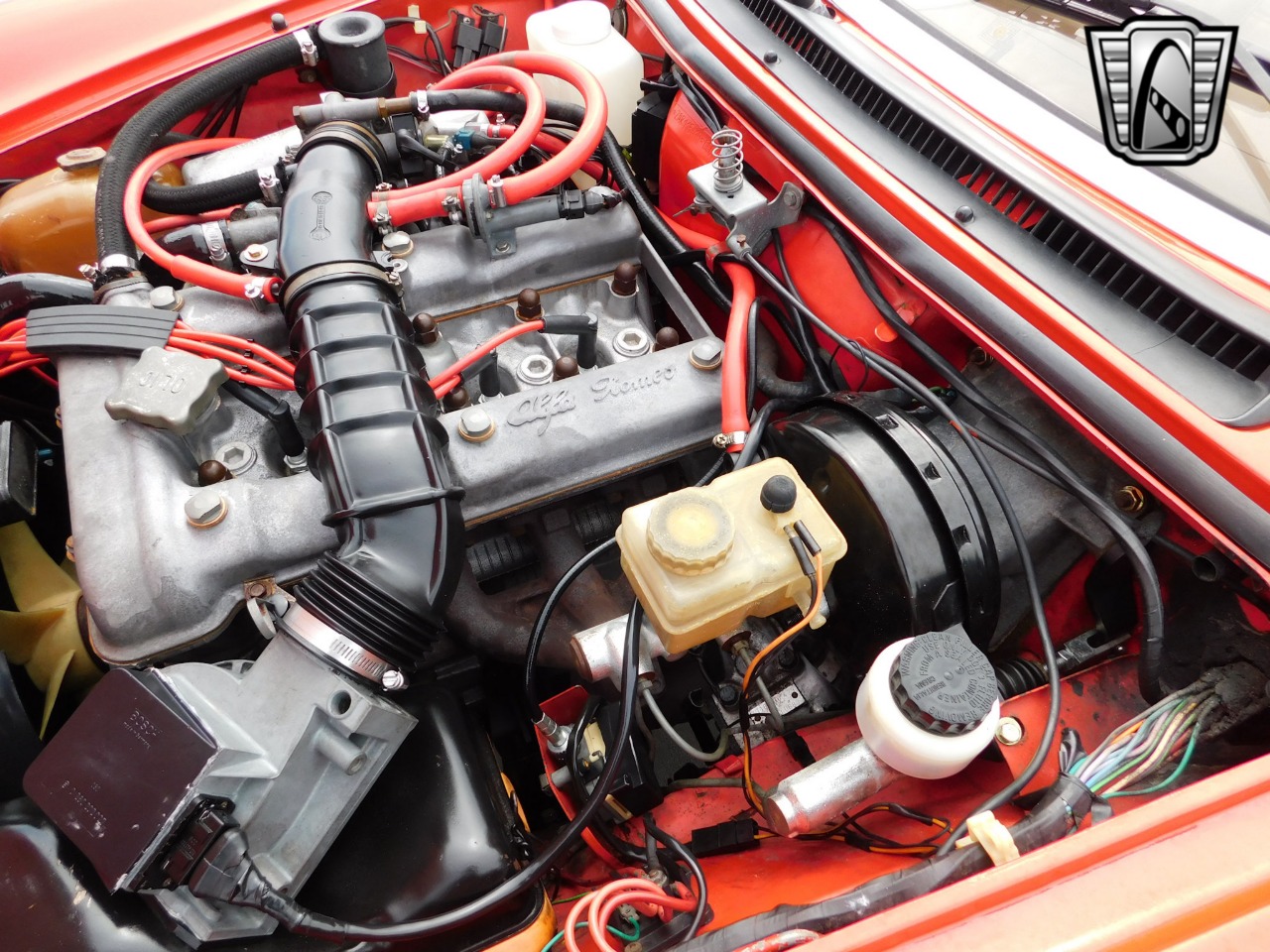 1984 Alfa Romeo Spider Veloce 17