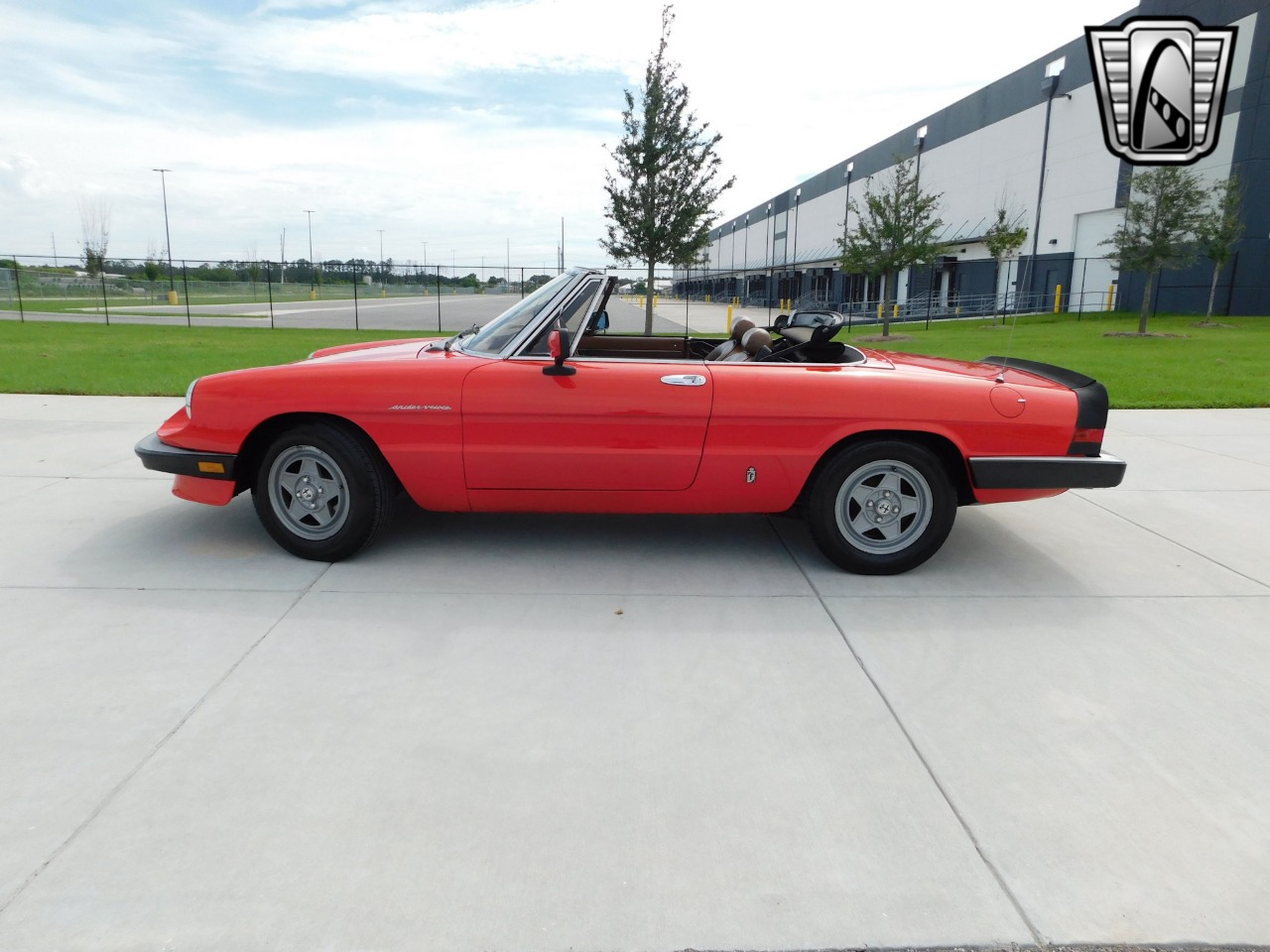 1984 Alfa Romeo Spider Veloce 5
