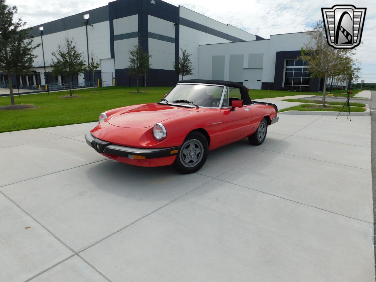 1984 Alfa Romeo Spider Veloce 73