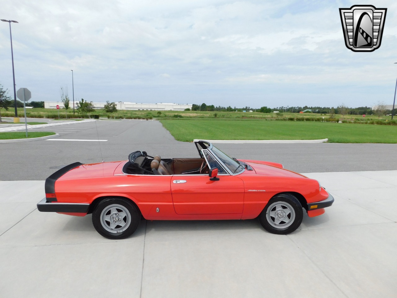 1984 Alfa Romeo Spider Veloce 31