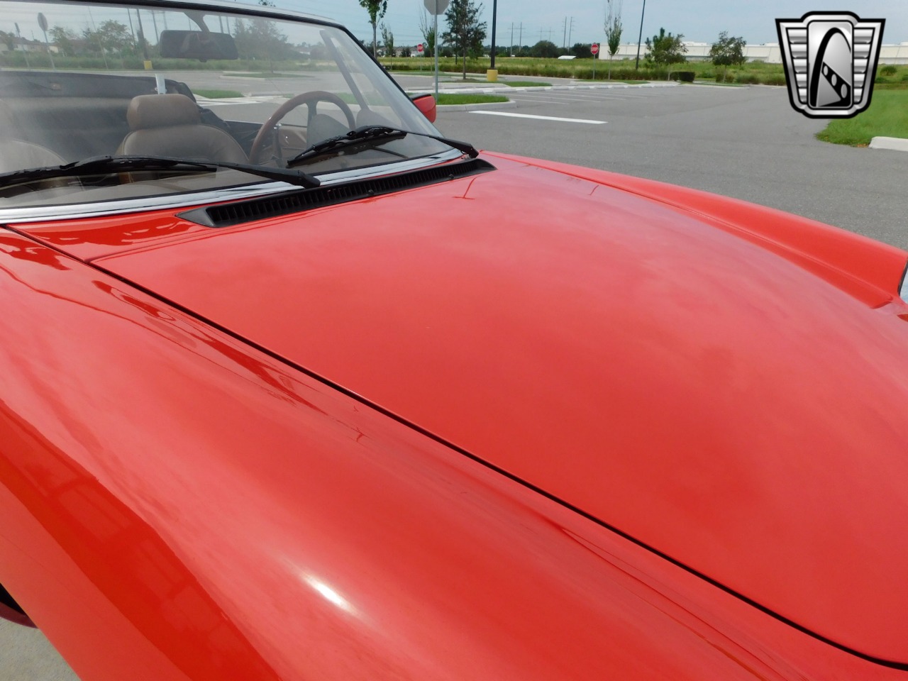 1984 Alfa Romeo Spider Veloce 59