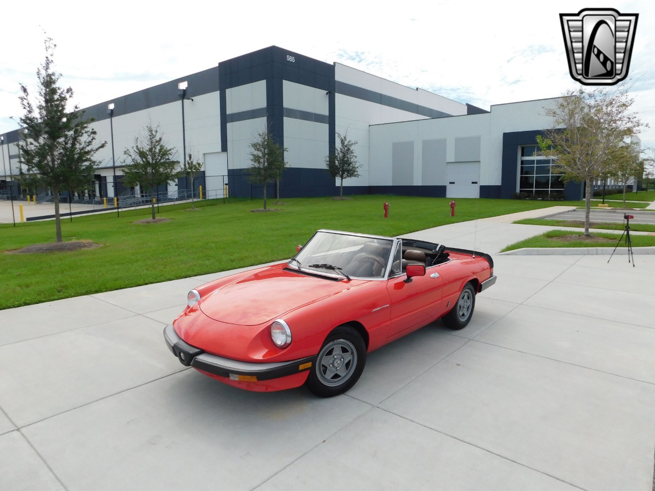 1984 Alfa Romeo Spider Veloce 39