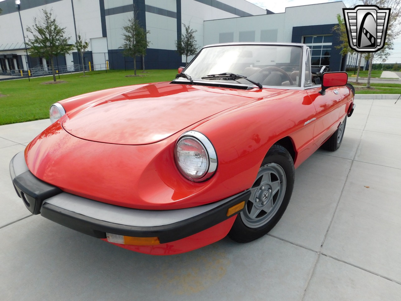 1984 Alfa Romeo Spider Veloce 11