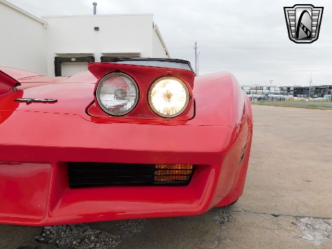 1981 Chevrolet Corvette image 33