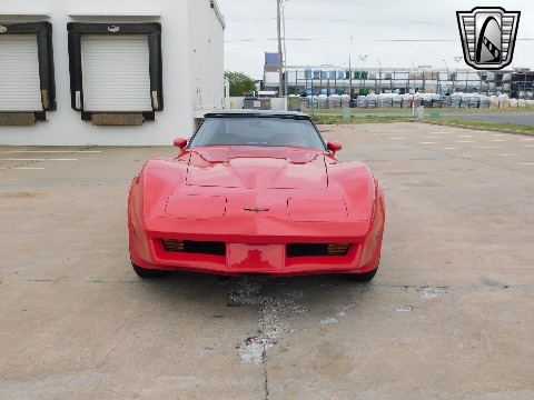 1981 Chevrolet Corvette image 9