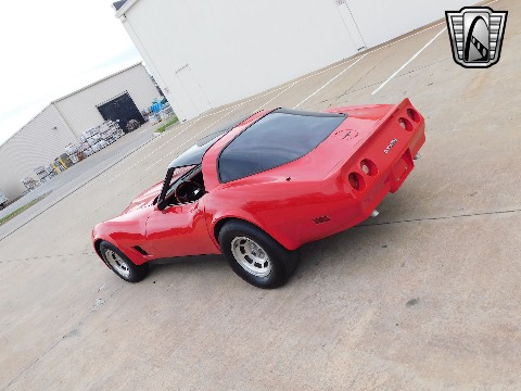 1981 Chevrolet Corvette image 12