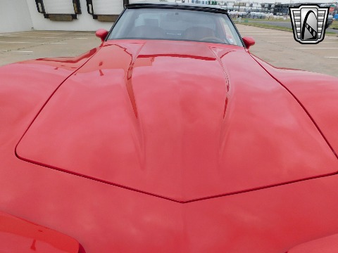 1981 Chevrolet Corvette image 39