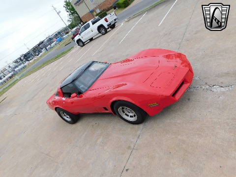 1981 Chevrolet Corvette image 19