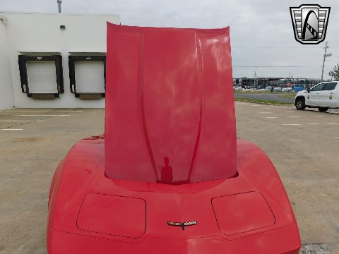 1981 Chevrolet Corvette image 102