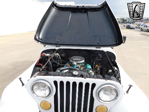 1973 Jeep CJ5 image 126