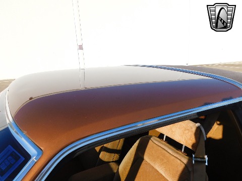 1978 Dodge Diplomat image 40