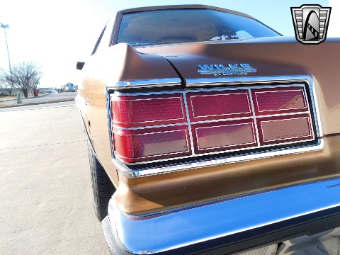 1978 Dodge Diplomat image 45